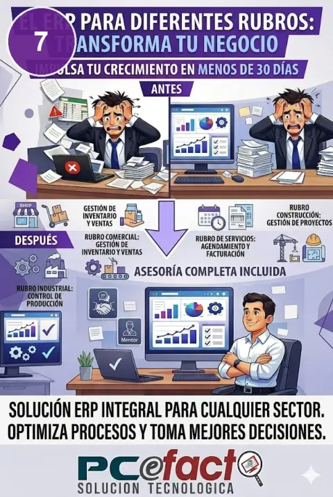 Sistemas para Diferentes Rubros — oferta PCEFACT PERU